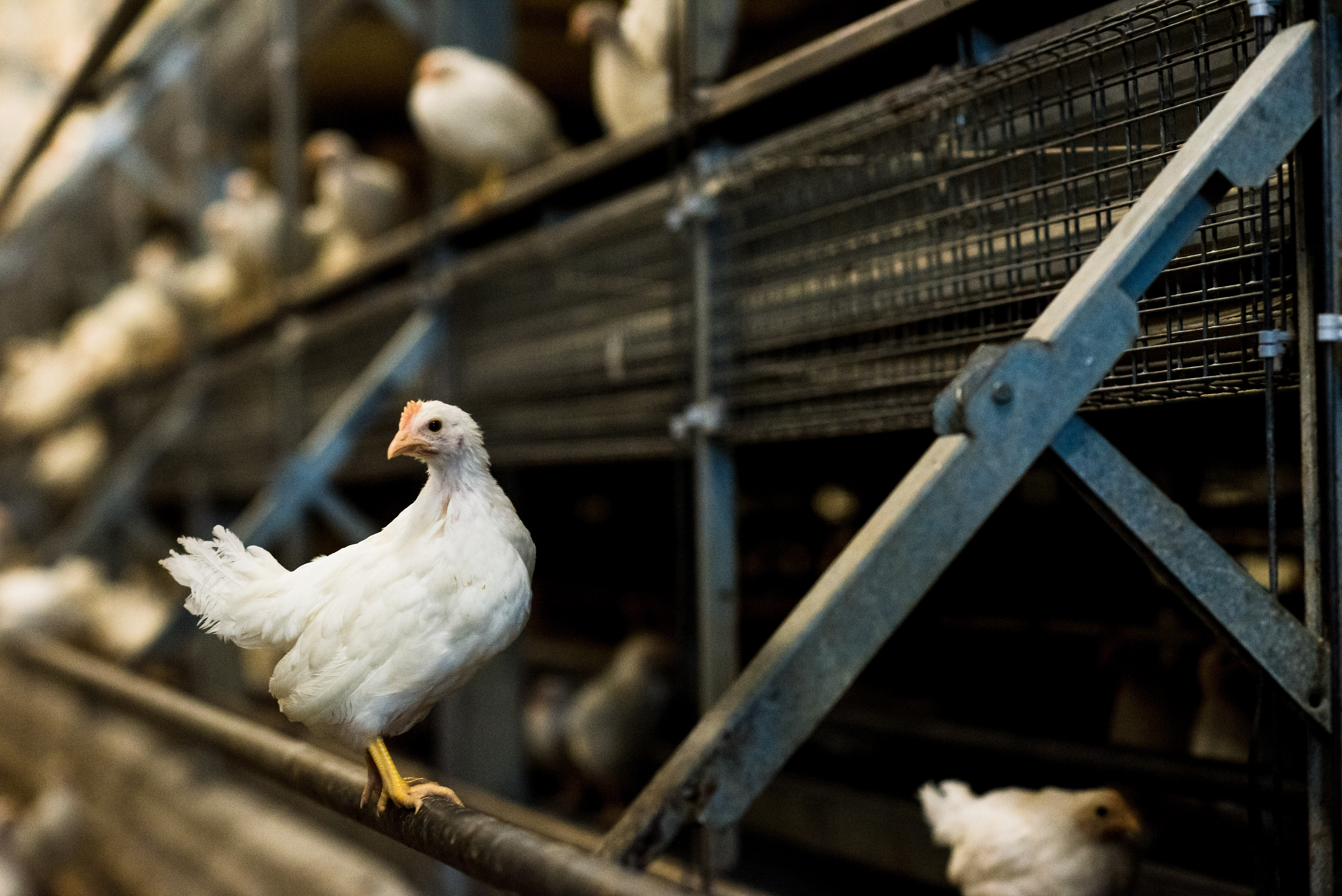 Eirik%20Halvorsen%20-%20B%C3%B8rge%20Undheim%20web-14