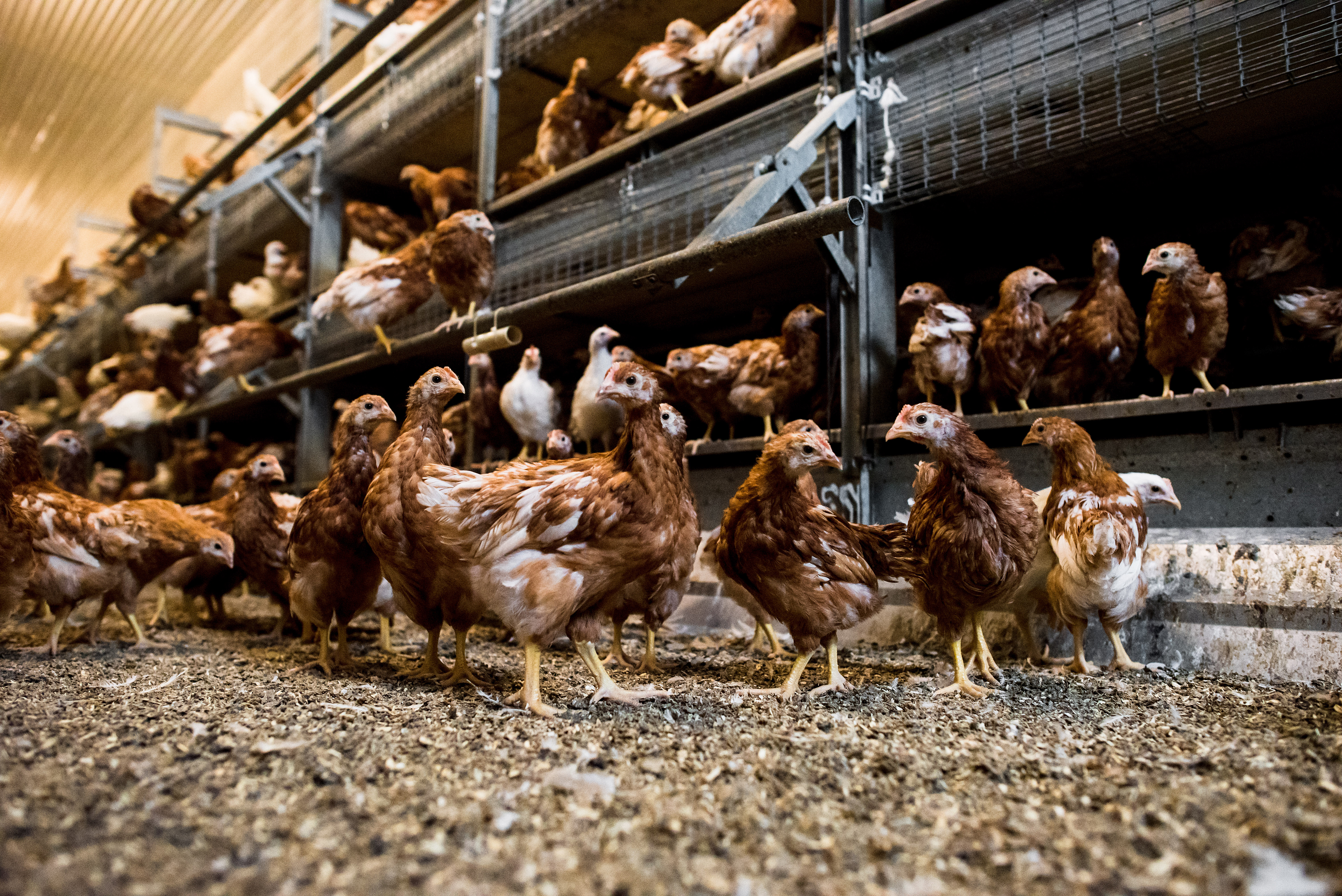 Eirik%20Halvorsen%20-%20B%C3%B8rge%20Undheim%20web-15