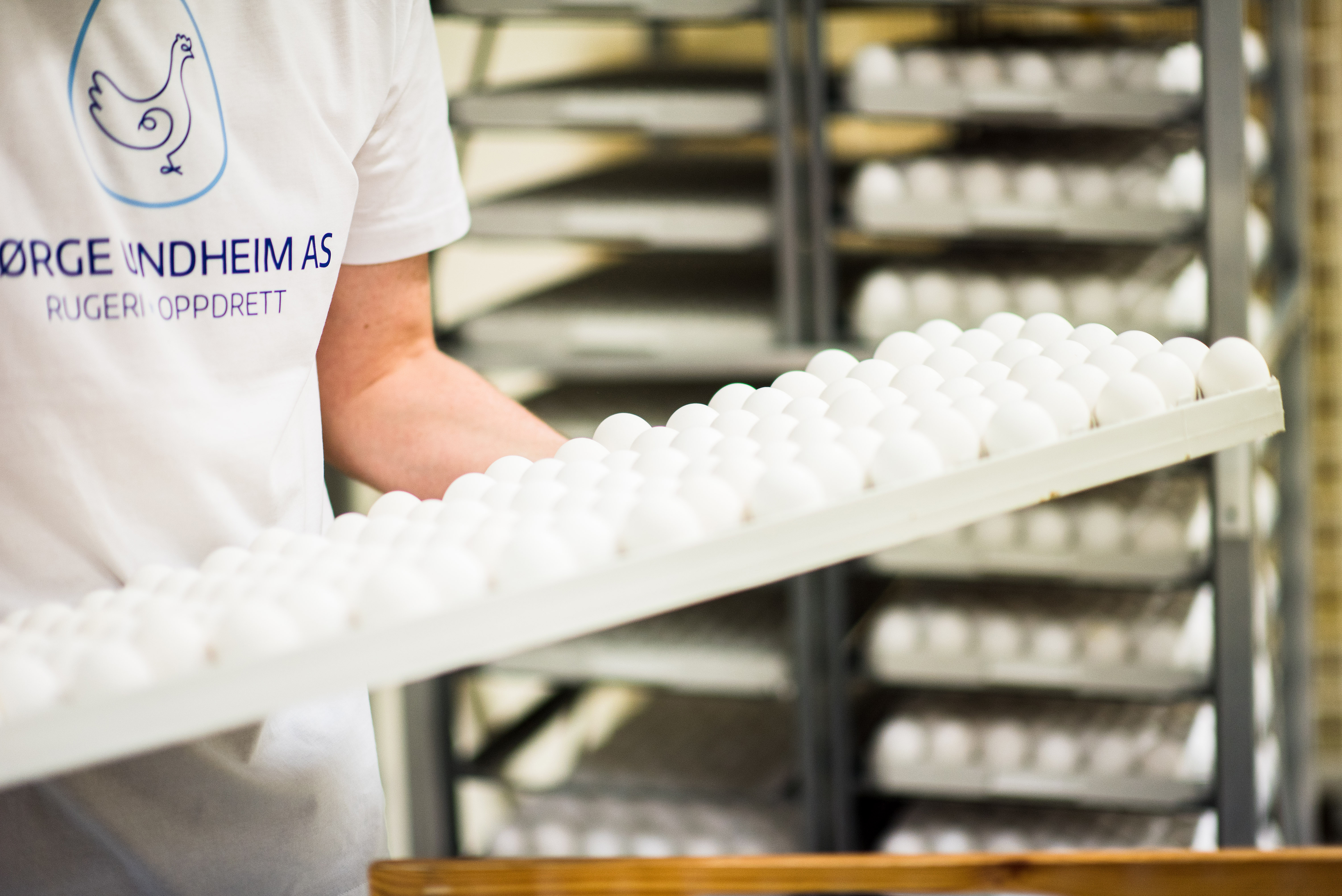 Eirik%20Halvorsen%20-%20B%C3%B8rge%20Undheim%20web-8