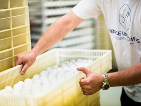 Eirik%20Halvorsen%20-%20B%C3%B8rge%20Undheim%20web-9